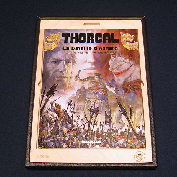 visuel thorgal-tome-32-bataille-d-asgard