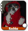 kochka